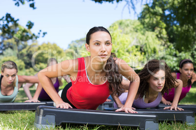 Fitness group using steps in park