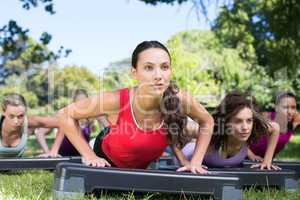 Fitness group using steps in park