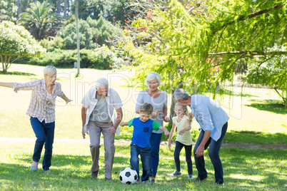 Happy family playing at the ball