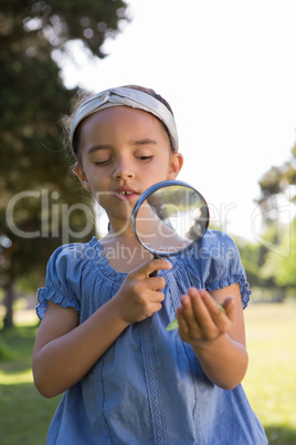 Curious little girl looking at leaf