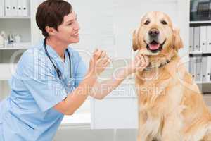 Veterinarian examining mouth of a cute dog