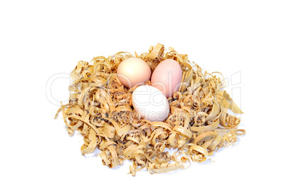 Chicken eggs in a nest of wood shavings