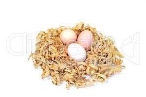 Chicken eggs in a nest of wood shavings