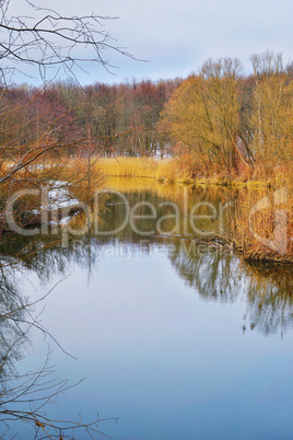 Spring landscape with the river