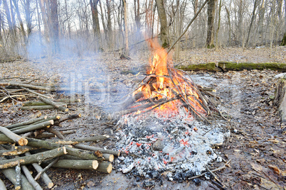 A fire in a forest in spring