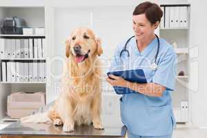 Vet examining a dog and writing on clipboard