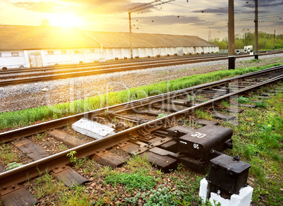 Grass near rails