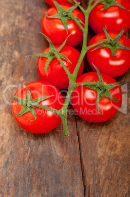 fresh cherry tomatoes on a cluster