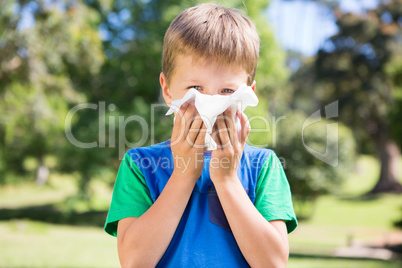 Little boy blowing his nose