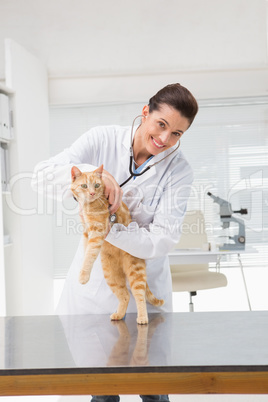 Veterinarian examining a cat