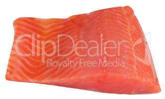 piece of red fish fillet isolated