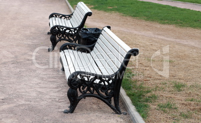 bench  in park