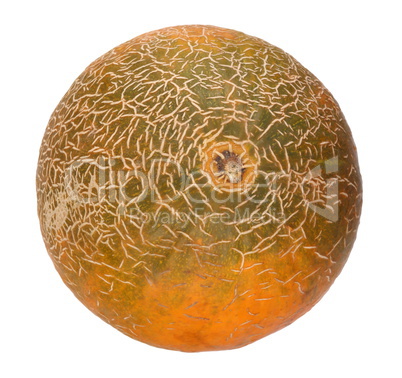 Melon Isolated