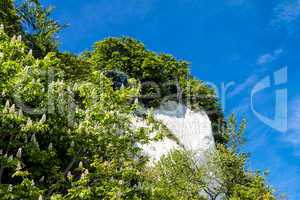 Kreidefelsen auf der Insel Rügen