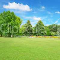 Beautiful meadow in the park