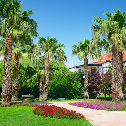 picturesque lawn in the park