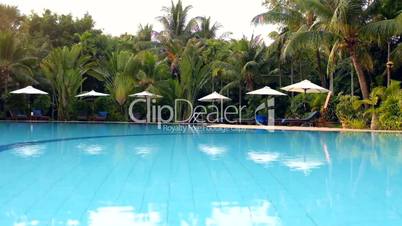 Beautiful Swimming Pool With Palm Trees Ponorama