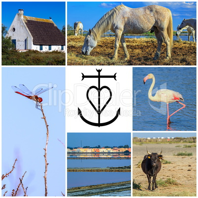 Collage of Camargue photos, France