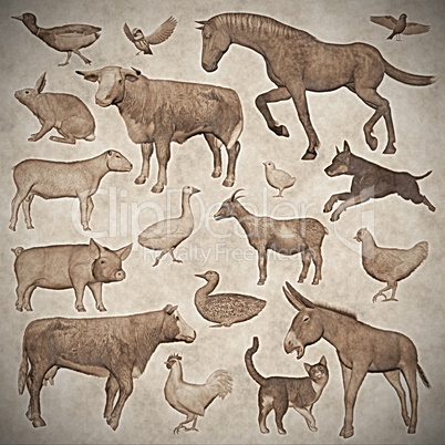Set of farm animals vintage style - 3D render