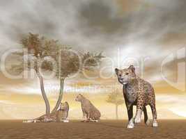 Jaguars in the savannah - 3D render