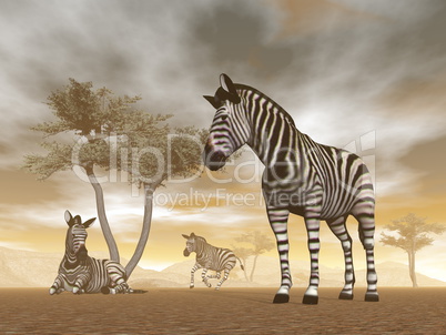 Zebras in the savannah - 3D render