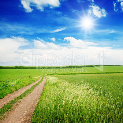 Beautiful sunset on spring field