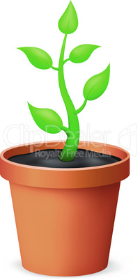 flowerpot