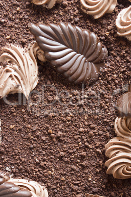 Chocolate decorations on the cake