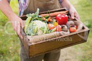 Farmer carrying box of veg