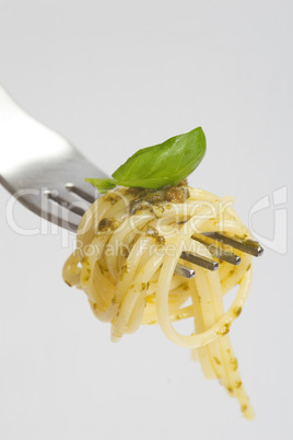 spaghetti Basil