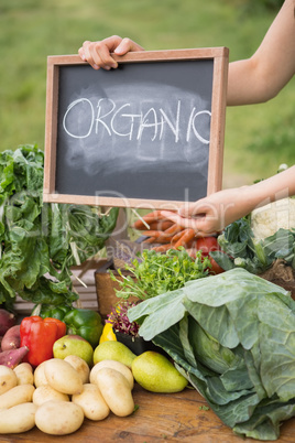 Woman selling organic vegetables at market