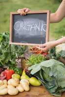 Woman selling organic vegetables at market