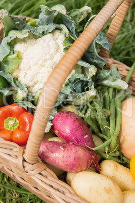 Basket of fresh organic veg Basket of fresh organic veg