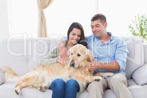 Couple stroking dog while sitting on sofa