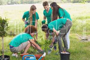 Happy friends gardening for the community