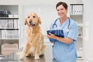 Vet examining a dog and writing on clipboard