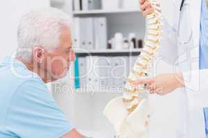 Doctor explaining anatomical spine to senior man