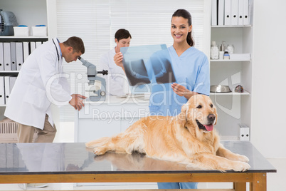 Veterinarian coworker examining dogs x-ray