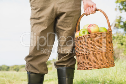 Farmer holding basket of apples