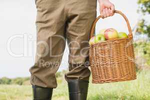 Farmer holding basket of apples