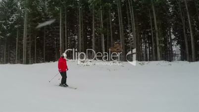 Snowfall and Girl Skier