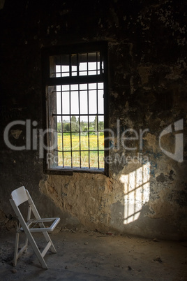 View of summer from the old window .