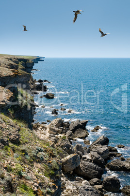 Cape Tarhankut (Ukraine, Crimea)