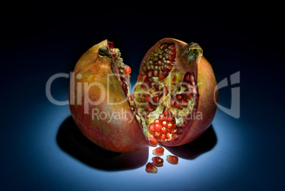 Fantastic pomegranate