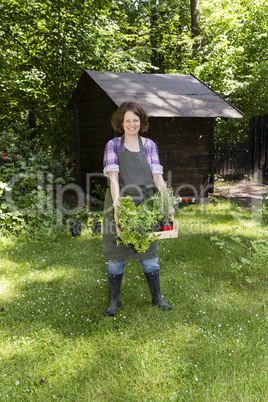 Frau mit Kräutern im Garten, woman with herbs in a garden