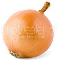 bulb onion