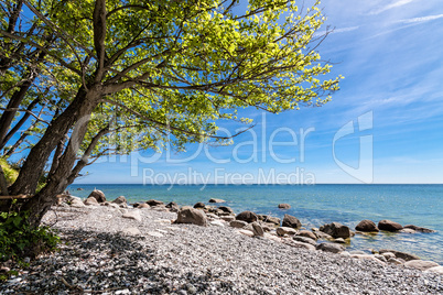 Ostseeküste auf der Insel Rügen