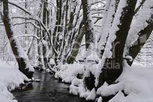 Aubachtal im Winter