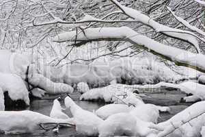 Aubachtal im Winter