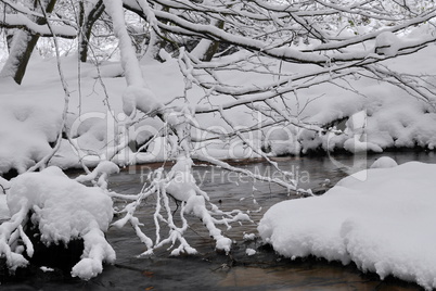 Aubachtal im Winter